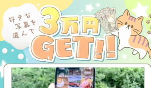 写真を選んで3万円GET丨株式会社アイコンは、<font color="#ff1e00">怪しいビジネスなのか!?</font><b><span class="sc_marker">評判・口コミ・内容など実態を調べてみました。</span></b>
