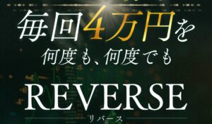 REVERSE(リバース)丨高柳大輔(合同会社V.S.L)は、<font color="#ff1e00">怪しいビジネスなのか!?</font><b><span class="sc_marker">評判・口コミ・内容など実態を調べてみました。</span></b>