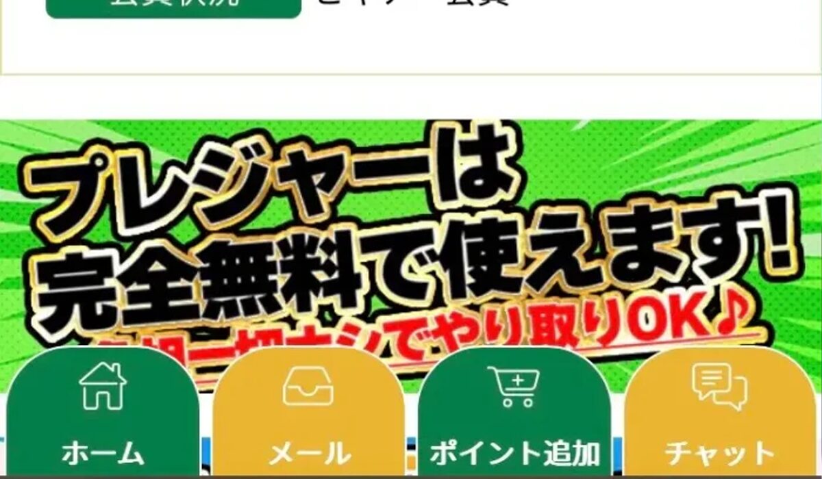 Pleasure(プレジャー)は、<font color="#ff1e00">怪しいビジネスなのか!?</font><b><span width=